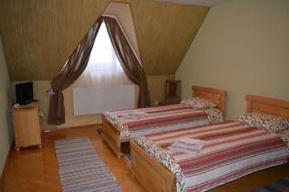 Мини-отель Hotel Svitlytsia Tyachiv Бюджетный двухместный номер с 2 отдельными кроватями-4